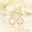 14kt Rose Gold Vermeil - Horseshoe Good Karma Chakra Earring