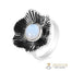 Moonstone Ring-Blossom Bliss